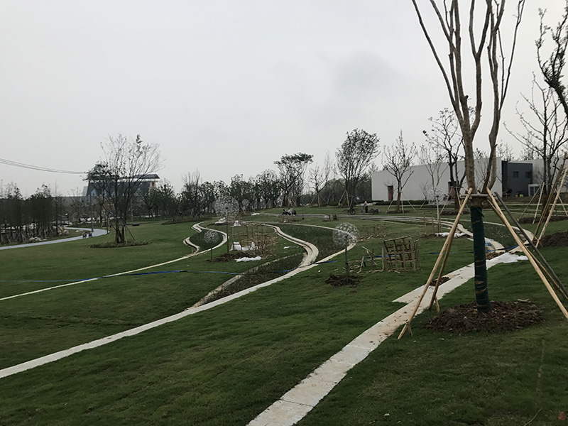 IMG_1362.JPG IMG_1362.JPG