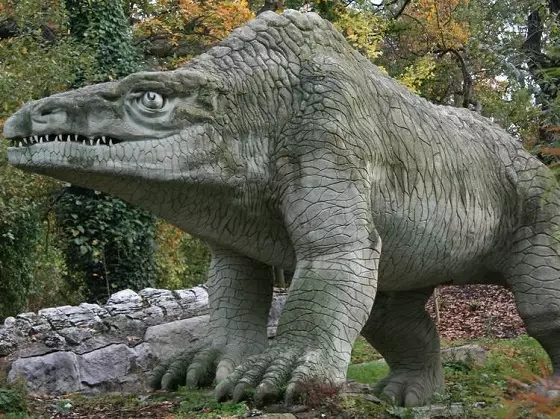 640.webp (6).jpg 640.webp (6).jpg