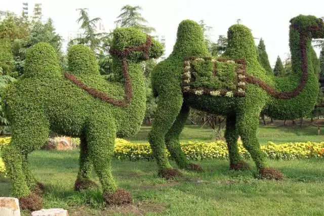 640.webp.jpg 640.webp.jpg